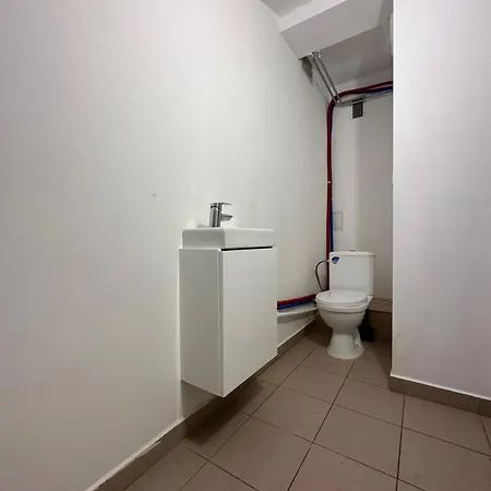 Séjour chez l'habitant Retriever